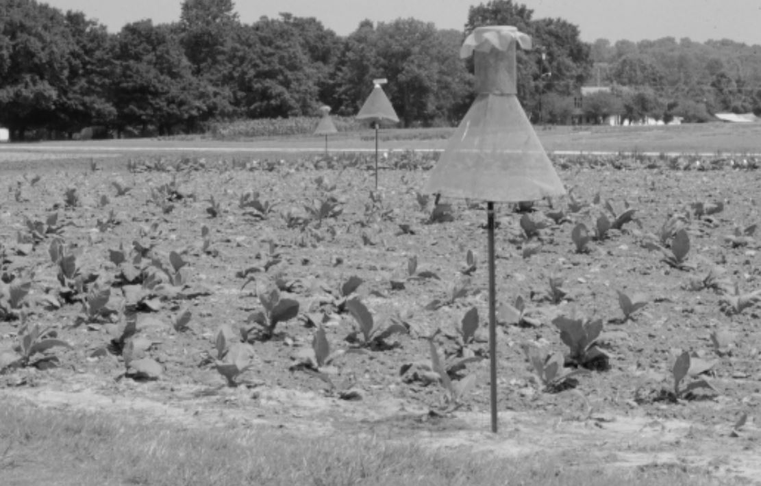 IPM at UKREC, Princeton, KY 1970