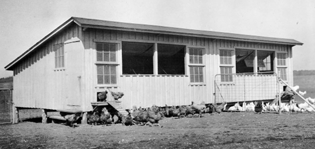Old poultry house, UKREC, Princeton, KY