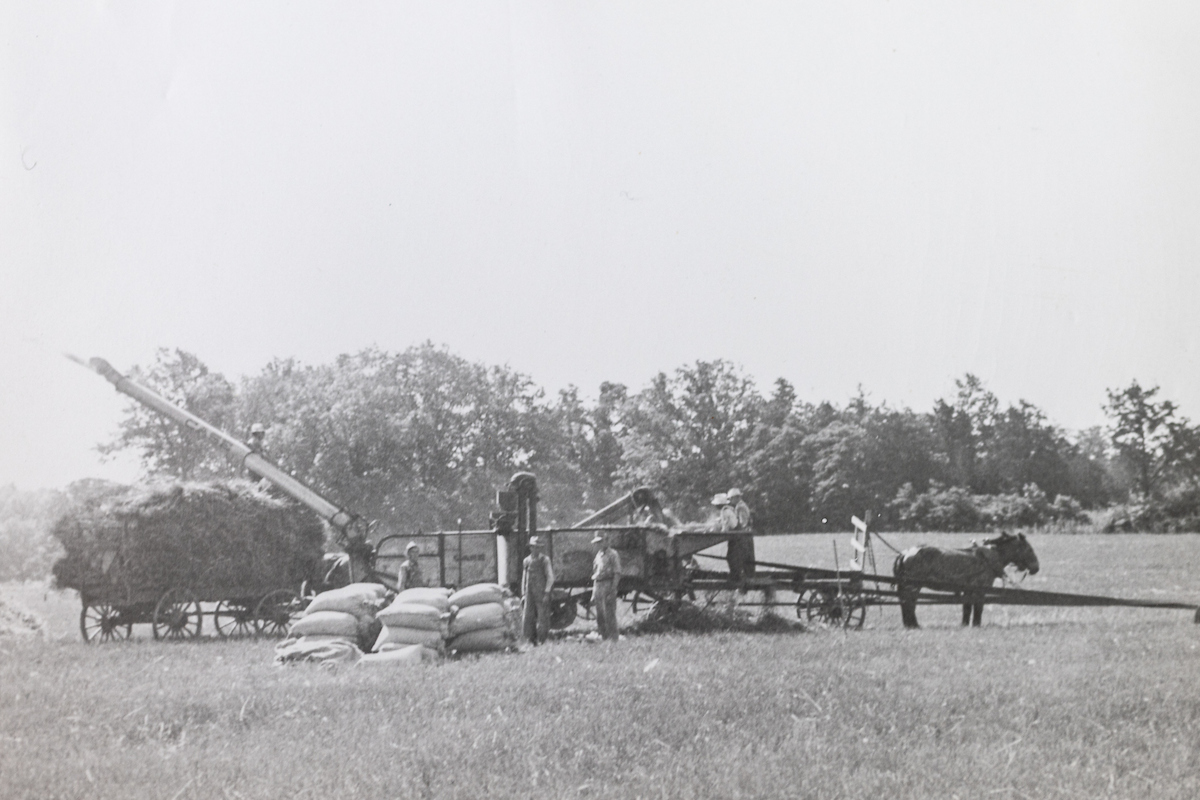 Wheat threshing machine at UKREC Princeton, KY 1927
